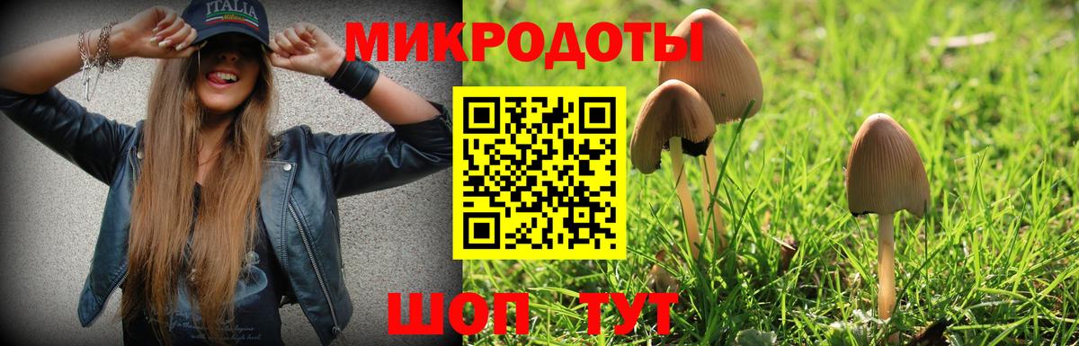 Галлюциногенные грибы Cubensis Йошкар-Ола