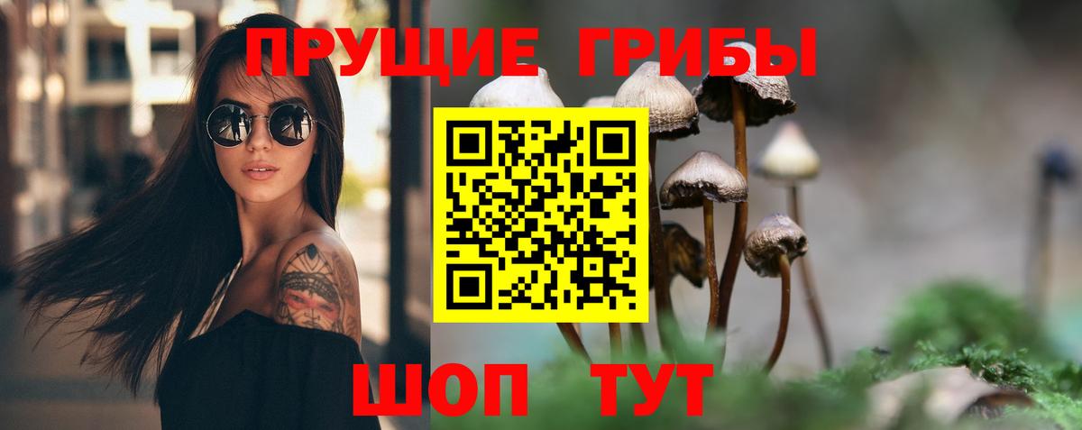 Галлюциногенные грибы прущие грибы  Вход с VPN  Йошкар-Ола  Псилоцибиновые грибы Psilocybe 
